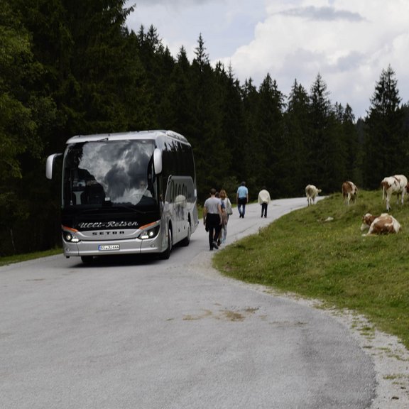 Bustaufe Altenmark - Österreich 