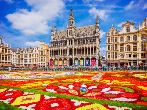 Brüssel Blumenteppich 